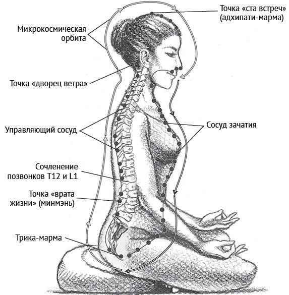 Микрокосмическая Орбита практика